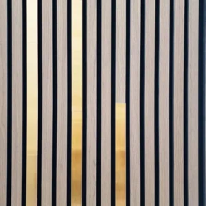 Akoestische Wandpaneel Geborsteld Goud - Cover