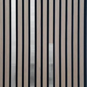 Akoestische Wandpaneel Geborsteld Zilver - Cover